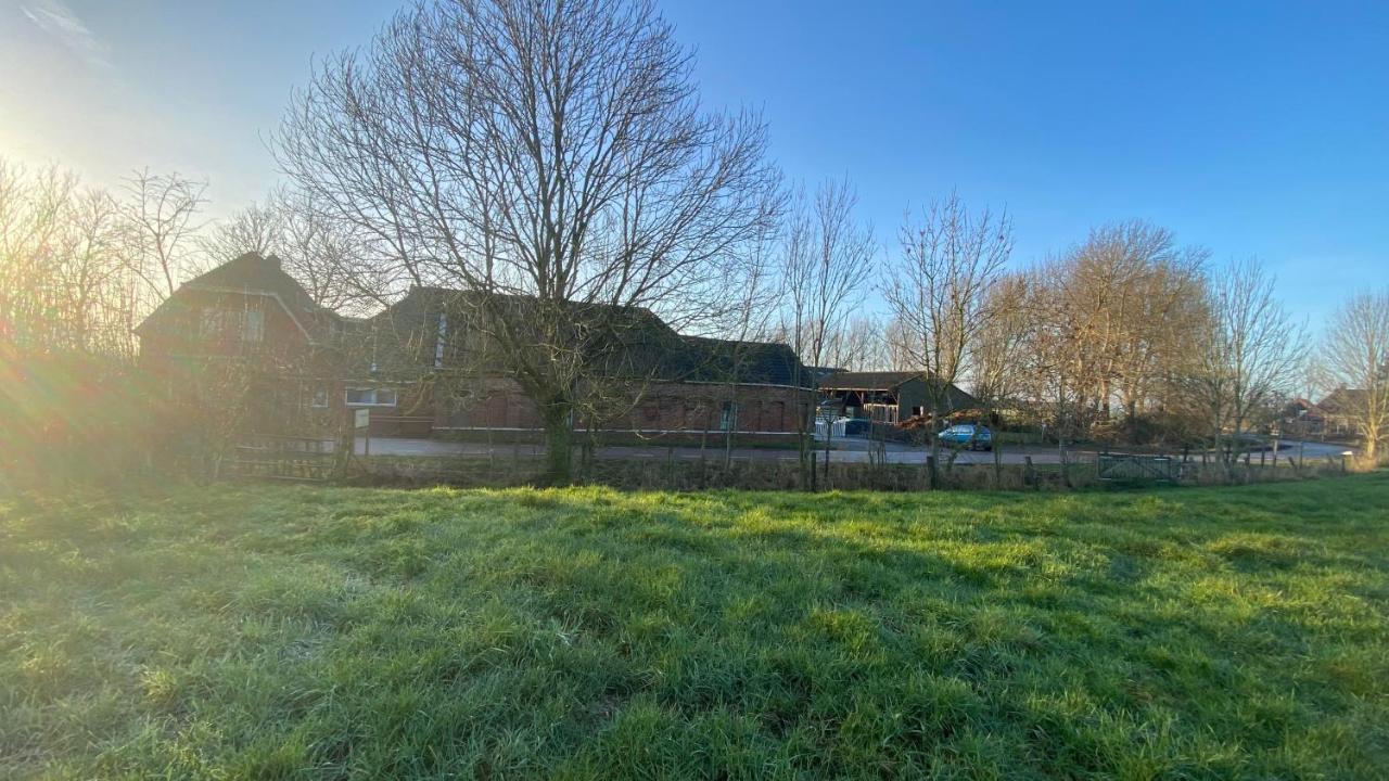 The Horse Farm Bed and Breakfast Garnwerd Εξωτερικό φωτογραφία