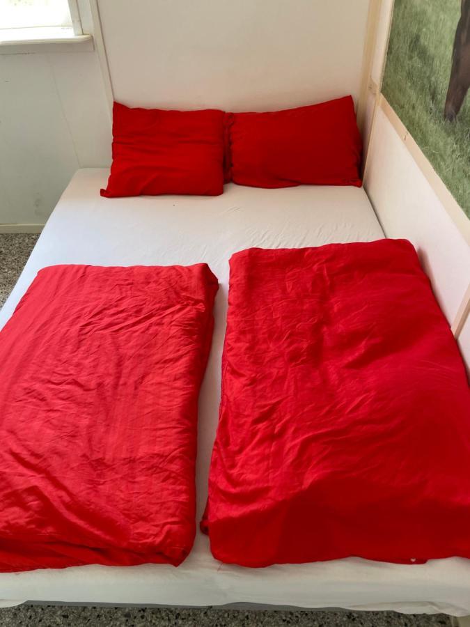 The Horse Farm Bed and Breakfast Garnwerd Εξωτερικό φωτογραφία
