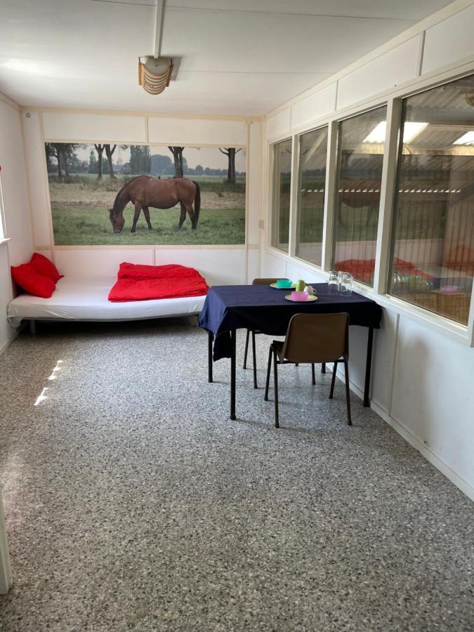 The Horse Farm Bed and Breakfast Garnwerd Εξωτερικό φωτογραφία